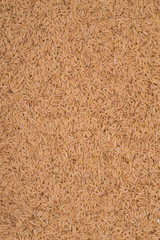 Background of healthy brown asian rice
