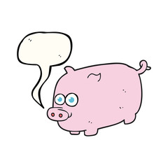 speech bubble cartoon pig