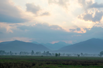 View field and Mountain in the morning - location at chiangkham phayao , thailand