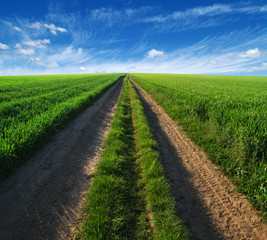 road in field