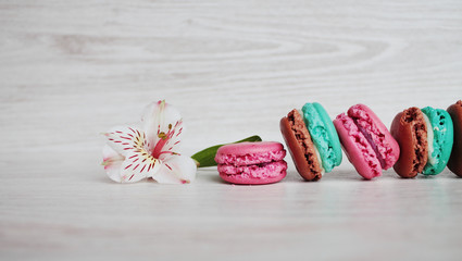 
macaron