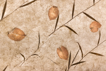 Closeup of handmademulberry papertexture background with leaf