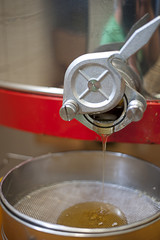 Herstellung von Honig