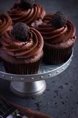 Chocolate cupcakes with chocolate decoration