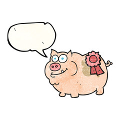 speech bubble textured cartoon prize winning pig