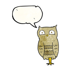 speech bubble textured cartoon owl