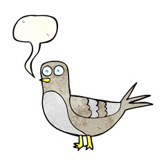speech bubble textured cartoon pigeon