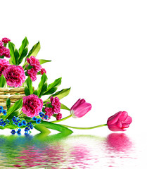  branch of beautiful flowers carnation