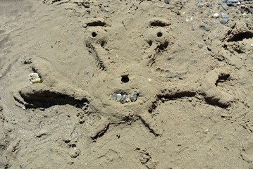 Fototapeta na wymiar mostro di sabbia