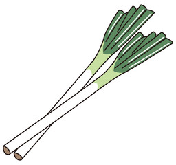 野菜　長ネギ