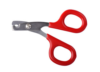 Scissors for claws for pets (dogs, cats) closeup