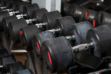 Fototapeta na wymiar Dumbbells lined up in a fitness center