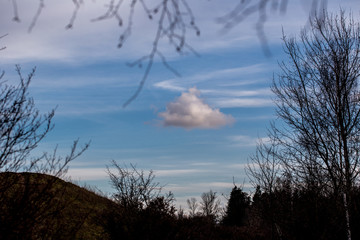 Malerische Wolke über einem Waldgebiet