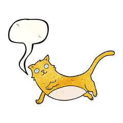 speech bubble textured cartoon cat