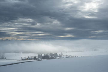 Lichtstimmung mit aufziehendem Nebel auf dem Höhenzug Witthoh, am Horizont die Schweizer Alpen