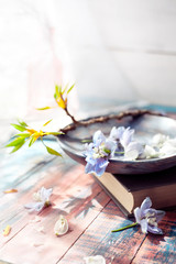 Spring flowers on wooden dish with a book near a window