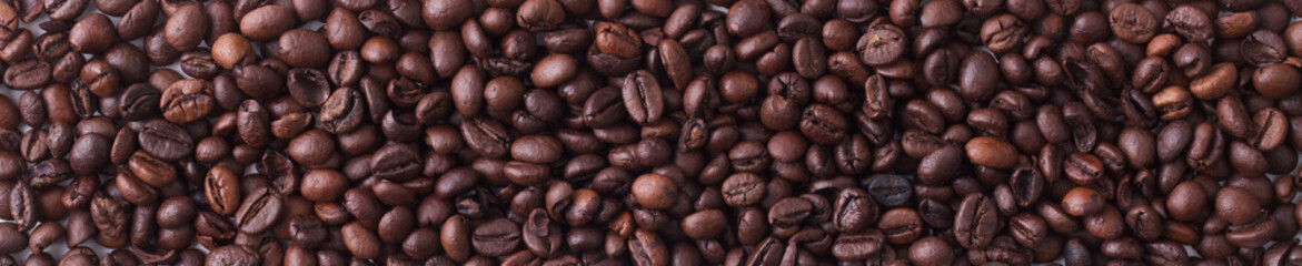 coffee bean