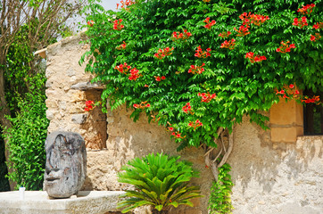 Obraz premium Mallorca, Isole Baleari, Spagna: il cortile di una casa nel centro di Capdepera, 15 giugno 2012