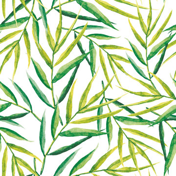 Green palm leaves on the white background. Watercolor seamless pattern with tropical plant.