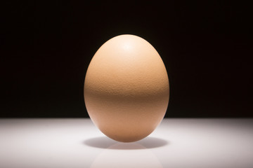 spotlight egg
