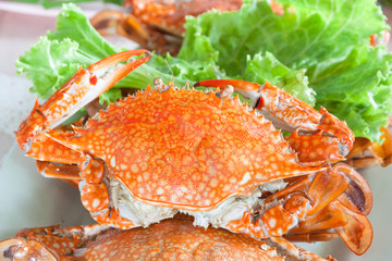 Steamed crab