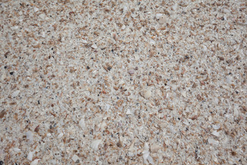 Sand and shell on the beach background