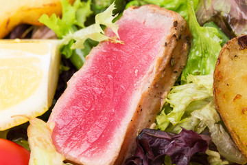 Classic nicoise salad closeup.