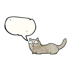 texture speech bubble cartoon cat