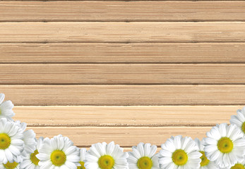 white chamomile flowers on wooden table background