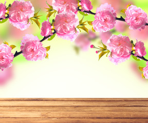 Pink sakura blossom and wooden table, spring background