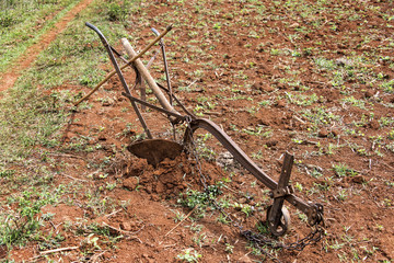 Kuba: Rostiger alter Pflug auf einem kubanischen Tabakfeld - Konzept Ackerbau Nahrung Essen Produktion Tradition