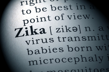 Obraz premium definition of zika