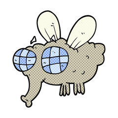 cartoon fly