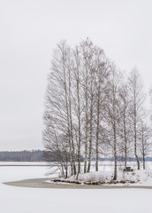 Fototapeta na wymiar Snowy, frozen lake and trees with bird in Hämeenlinna, Finland