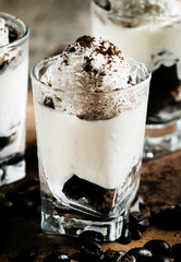 Sweet dessert with vanilla ice cream, chocolate cookies, coffee,