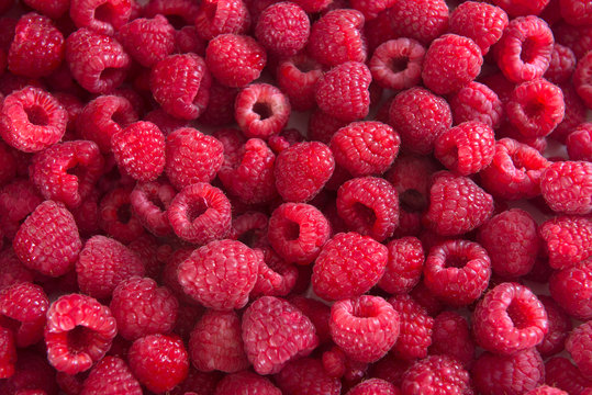 Delicious Raspberries Texture. Fresh raspberries background