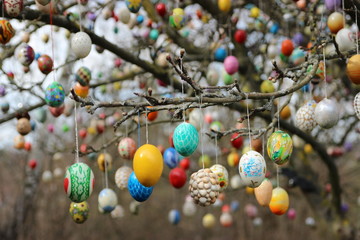 Fototapeta na wymiar Easter eggs on the tree