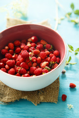 Wild strawberry in bowl