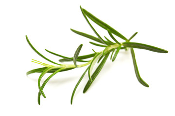 Bunch of rosemary