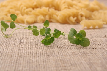 Closeup of Uncooked Italian Spiral Pasta - Rotini with oregano o