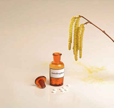 Pollenflug Haselbl&uuml;te