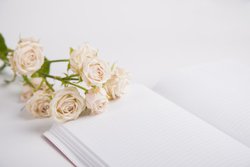 Obraz na płótnie Canvas Bouquet of creamy roses lying on open notebook
