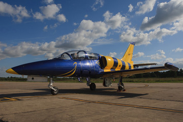  small blue and yellow airplane