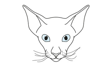Outline Cat