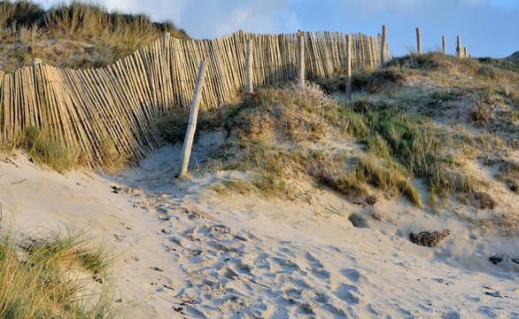 Sentier dans des dunes de sable fin en Bretagne