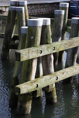 Dalben im Morgenlicht