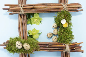 Easter frame with six quail eggs and two hellebore flowers