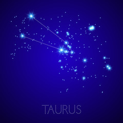 Zodiac Constellation Taurus