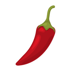 Vector illustration of spicy chili pepper