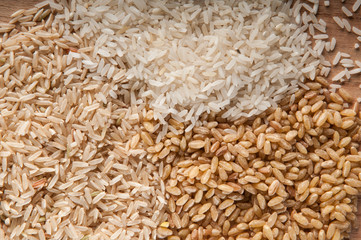 Concept of food in the world